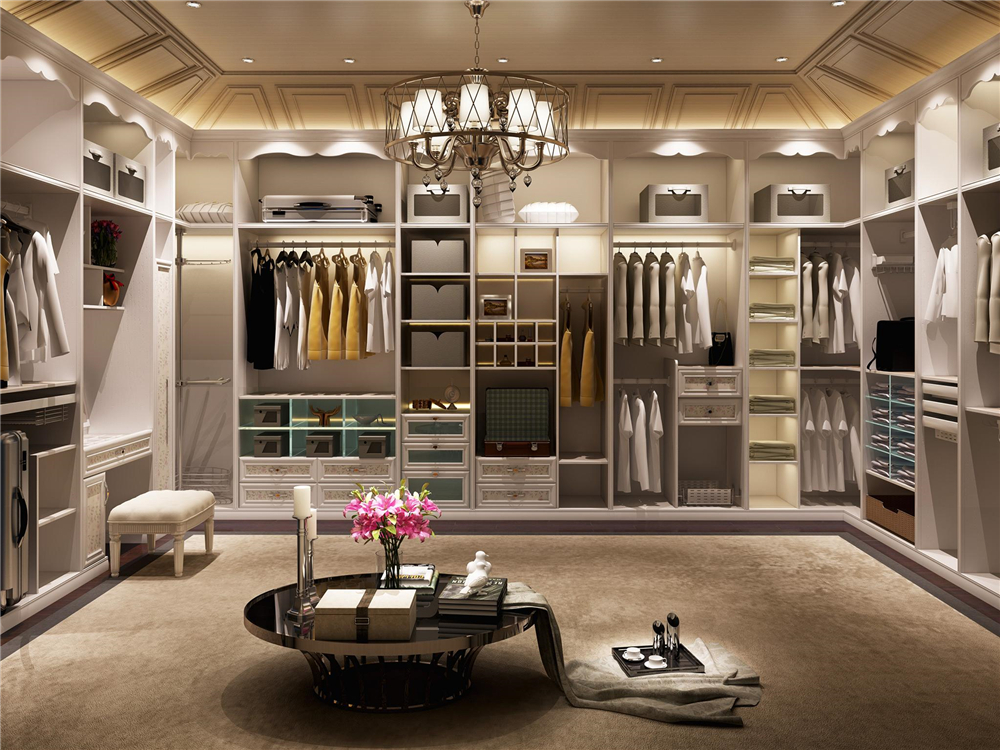 整木定制衣柜常用五金件(圖1) 整木定制衣柜常用五金件(圖1)